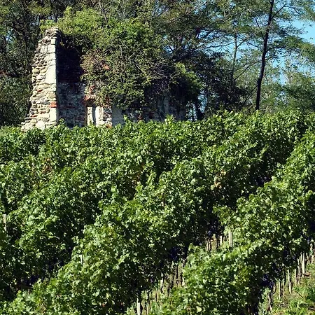 Farm stay Relais Ca Nova *