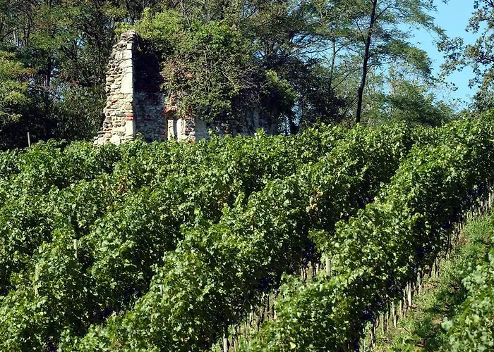 Alojamento de Turismo Rural Relais Cà Nova *