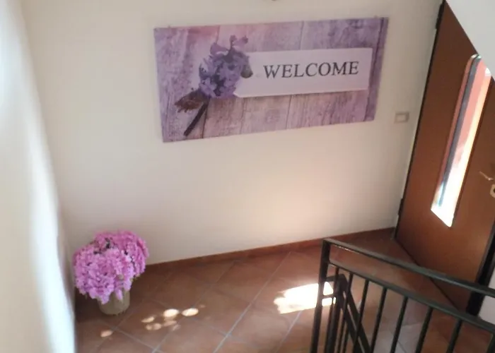 Alojamento de Turismo Rural Relais Cà Nova Bogogno